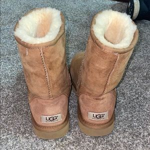 Tan UGGs